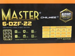 Аккумулятор тяговый 12V 22 Ah MASTER Gold, 6-DZF-22 (под винтик) (181*77*167 мм) 7,1кг